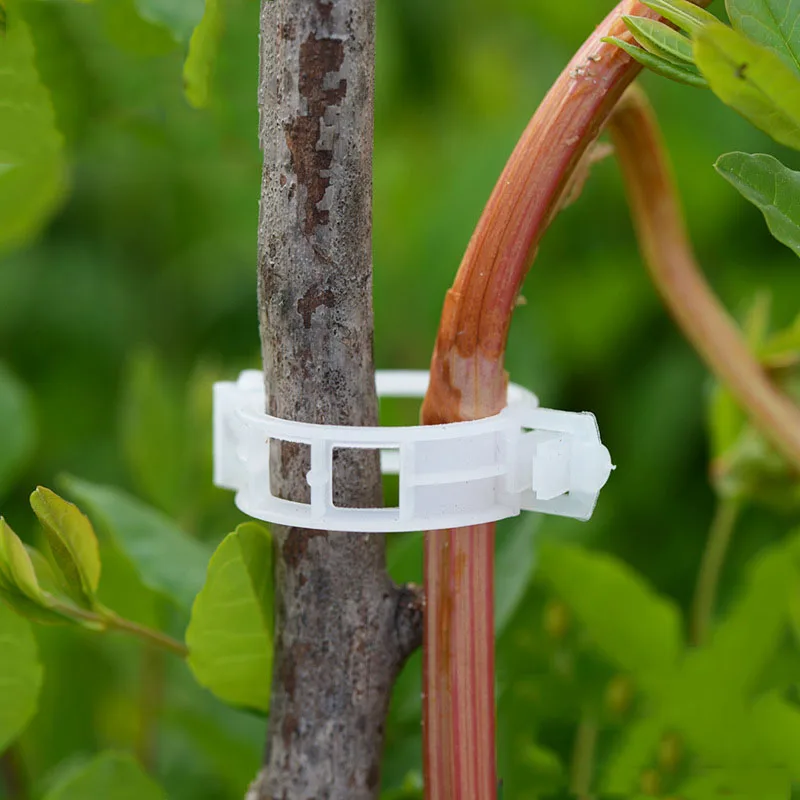 100Pcs Mini Plastique Tige de Serrage Jardin Ferme Plantes Supports Clips Fleurs liées